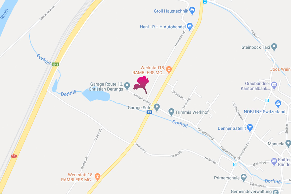 Google Karte