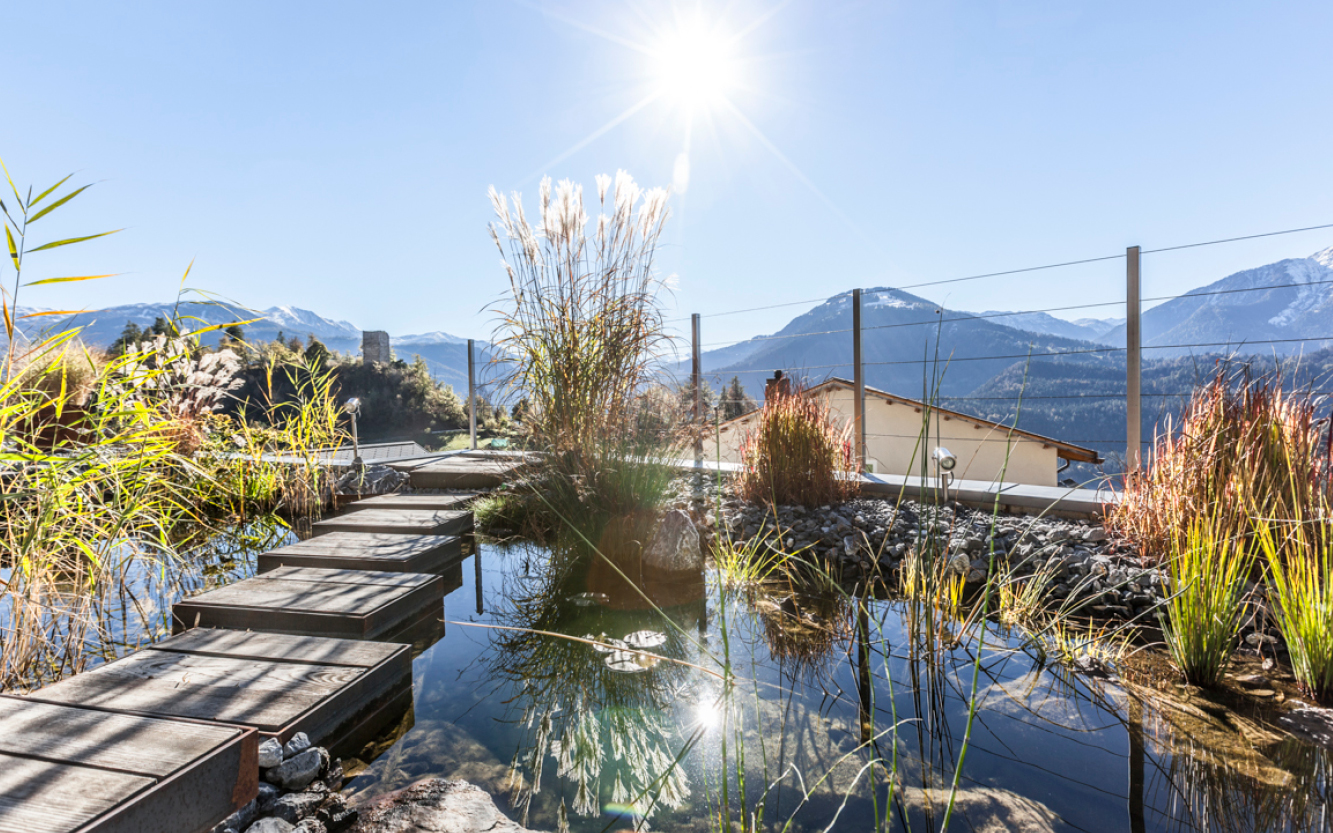 Wasser im Garten